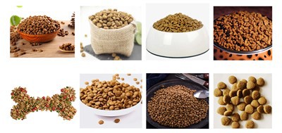 개와 고양이 사료 생산 라인